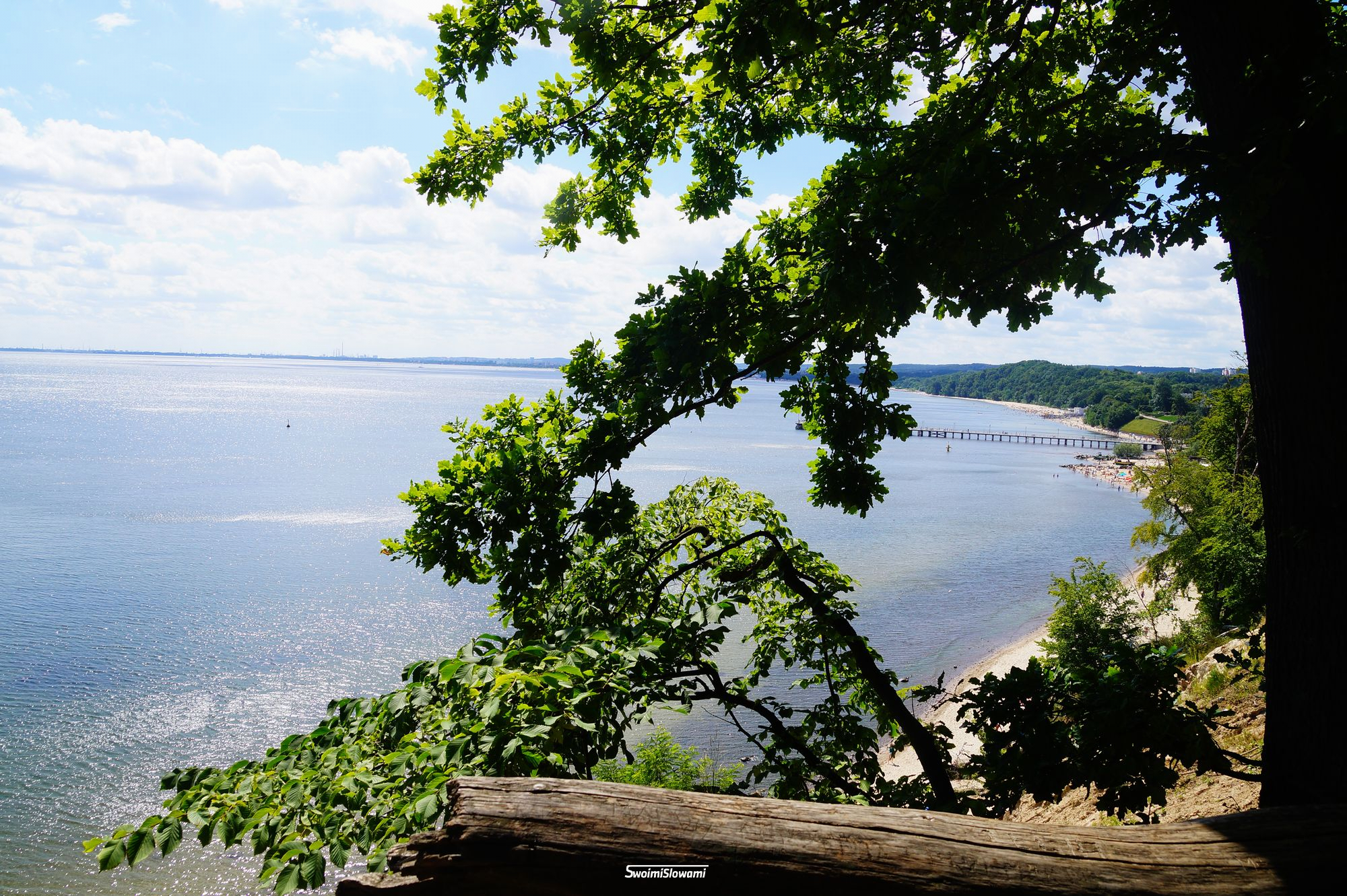 Gdynia Orlowo Klif 16.jpg